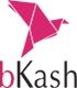 payment bkash